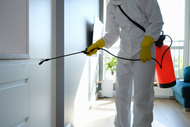 Biohazard Mold Removal in Maricopa, CA