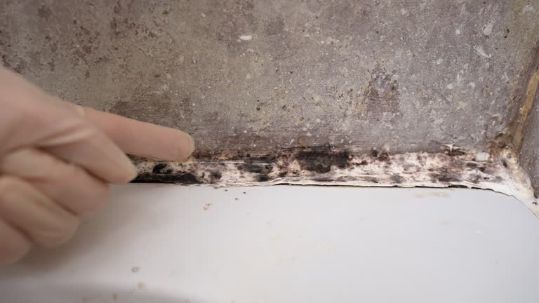 Best Mold Removal for HVAC Installations  in Maricopa, CA